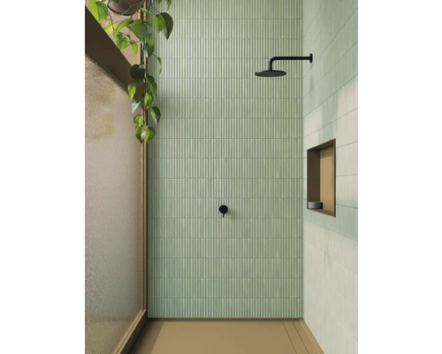 Salle de bain avec douche, carreaux muraux et plante