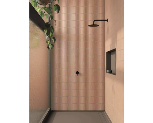 Salle de bains avec murs carrelés, douche et plante