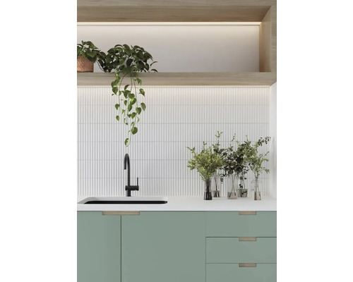 Cuisine claire avec placards verts, évier, robinet et plantes