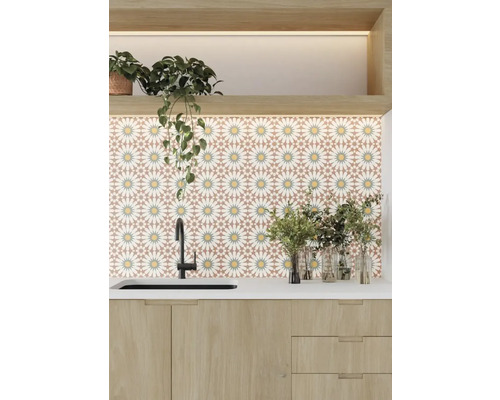 Scène de cuisine avec carrelage à motifs, évier et plantes