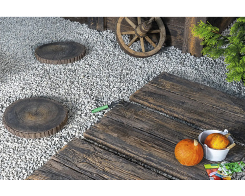 Scène avec des pas japonais en bois et des dalles de pas rondes dans le jardin