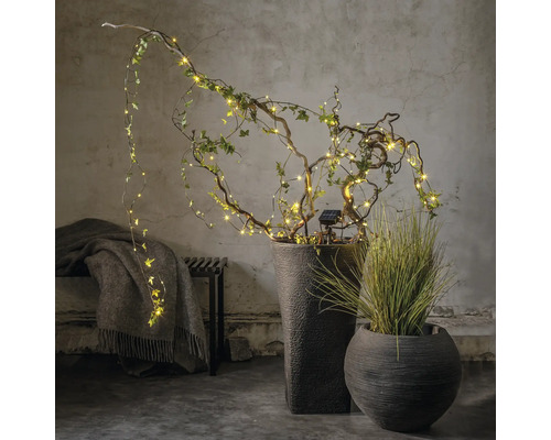 Guirlande lumineuse solaire Star Trading Dew Drop
