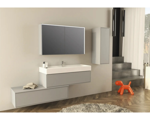 Salle de bains moderne avec meuble-lavabo, armoire de toilette, armoire suspendue et objet décoratif en forme de chien