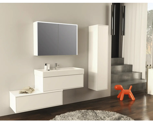 Salle de bains moderne avec meuble sous-lavabo, armoire de toilette et armoire haute