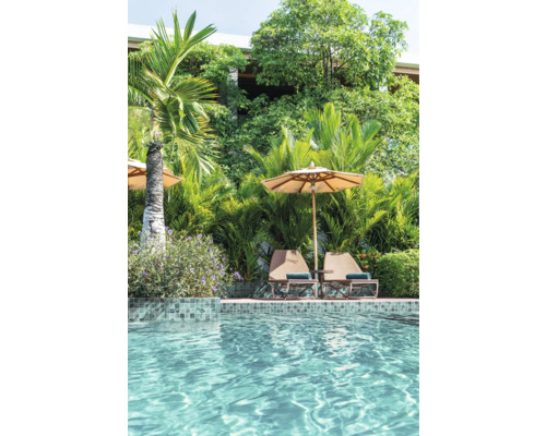 Scène avec piscine, chaises longues et parasol dans le jardin