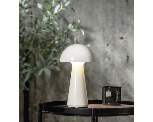 Lampe de table Star Trading Mushroom blanc