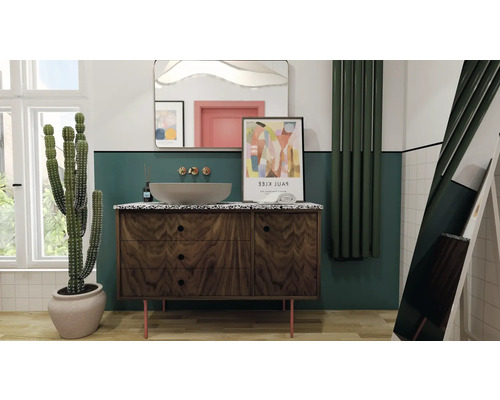 Salle de bains avec meuble sous-lavabo, miroir, radiateur et cactus