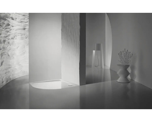 Salle de bains lumineuse avec douche et éléments décoratifs.