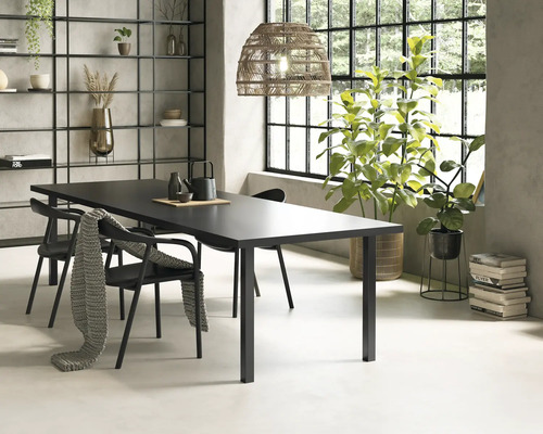 Salle à manger avec table, chaises, étagère et plantes d''intérieur.