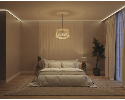 Chambre claire avec lit double, tapis et plante d''intérieur