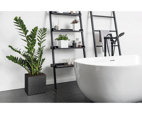 Badezimmer mit freistehender Badewanne, Leiterregal und Zimmerpflanze