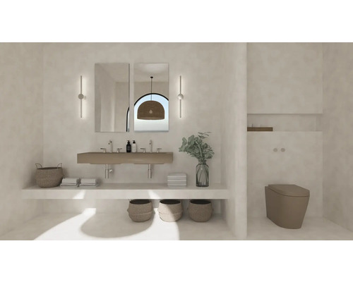 Badezimmer mit Waschbecken, Spiegeln, Dekoration und Toilette