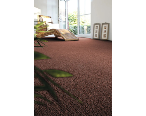 Salon avec moquette, chaise longue et fenêtre