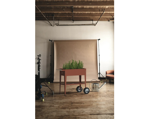 Bac à plantes sur roulettes avec herbes aromatiques et arrosoir en studio