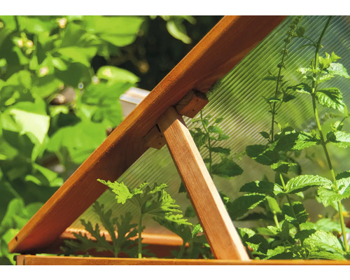 Detailansicht eines Frühbeets mit Holzrahmen und Pflanzen