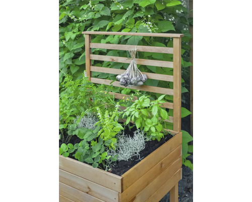 Jardinière en bois avec plantes et treillis