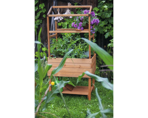 Jardinière surélevée en bois avec plantes, herbes aromatiques et ail