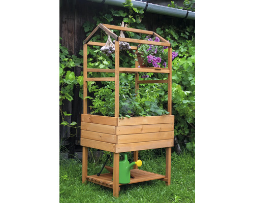 Jardinière surélevée en bois avec plantes, ail et arrosoir dans le jardin