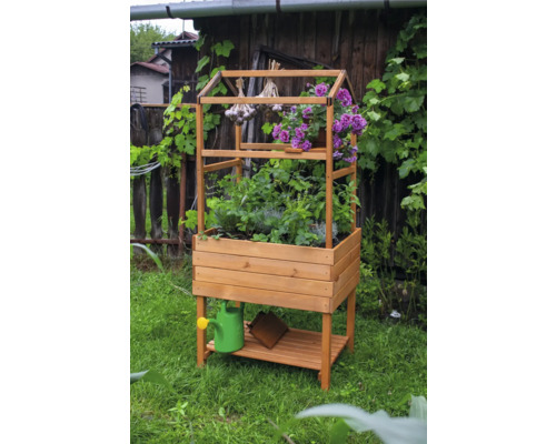 Jardinière surélevée en bois avec étagère et herbes aromatiques, fleurs et ail dans le jardin