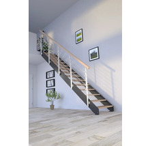 Escalier avec rampe en métal et marches en bois dans une pièce lumineuse