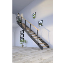 Escalier avec rampe en métal, marches en bois et aménagement de pièce lumineux