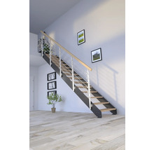 Escalier avec cadre métallique et marches en bois dans une pièce lumineuse