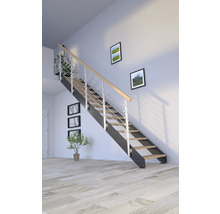 Escalier avec marches en bois et rampe en métal à l''intérieur.