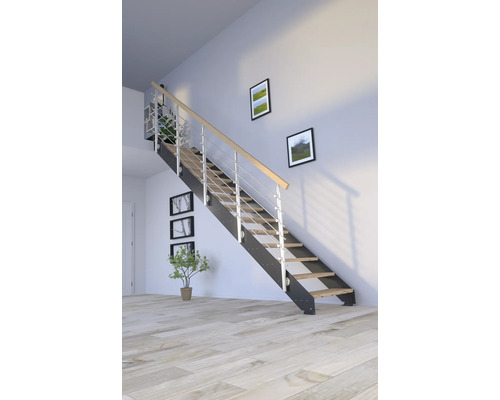 Escalier avec marches en bois et rampe en métal à l''intérieur.