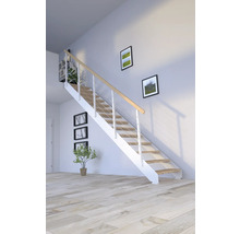 Pièce lumineuse avec un escalier avec marches en bois et rampes blanches, décorée de plantes et de tableaux