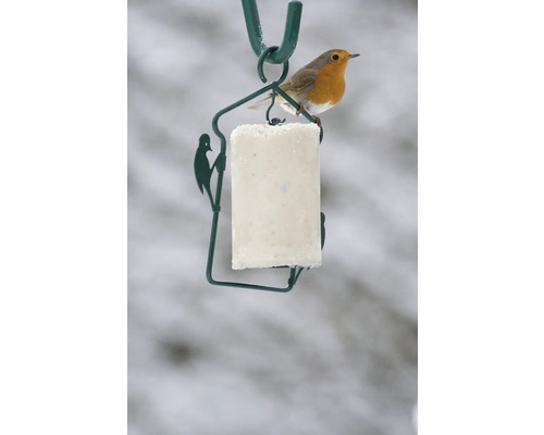 Rotkehlchen auf einer Futterstelle mit Futterblock