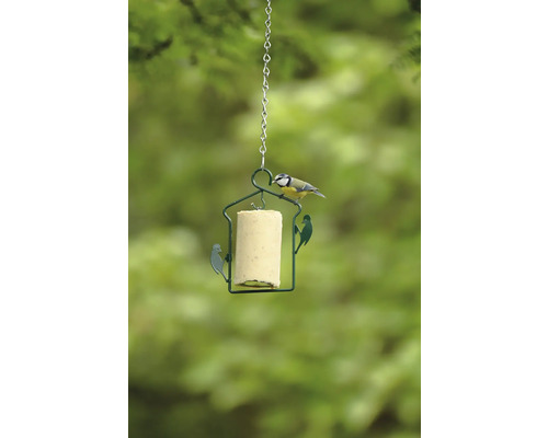 Hängender Futterspender mit Meisenknödel und Blaumeise