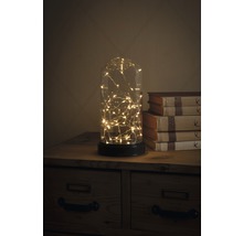 Globe en verre décoratif avec guirlande lumineuse sur une armoire en bois