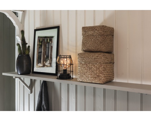 Décoration d''étagère avec cactus, cadre photo, lampe et deux paniers