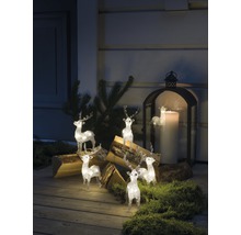 Scène décorative avec figurines de rennes illuminées, bûches de bois et une lanterne