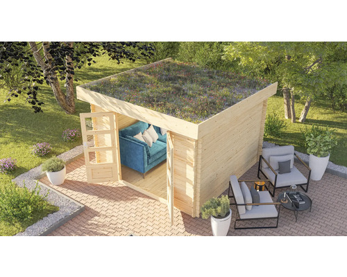 Abri de jardin Karibu Zelda 3 avec kit de végétalisation de toiture 280 x 220 cm naturel