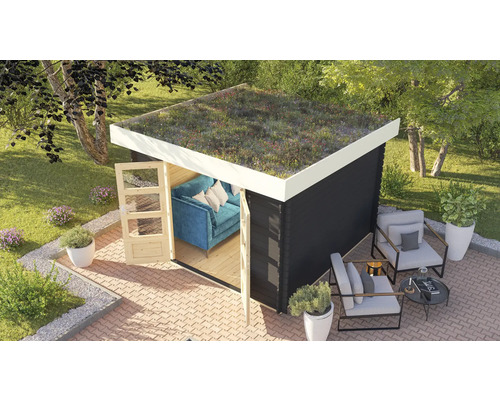 Abri de jardin Karibu Zelda 3 avec kit de végétalisation de toiture 280 x 220 cm anthracite