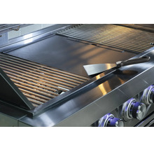 Barbecue avec grille, plaque de cuisson et spatule