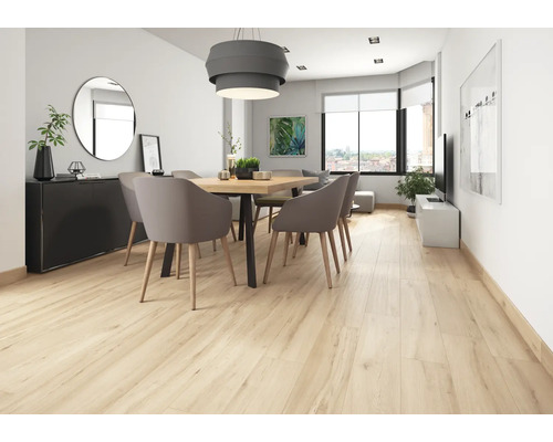 Séjour lumineux avec parquet, table à manger et chaises