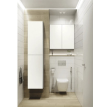 Badezimmer mit Hänge-WC, Spülkasten und weißen Badmöbeln