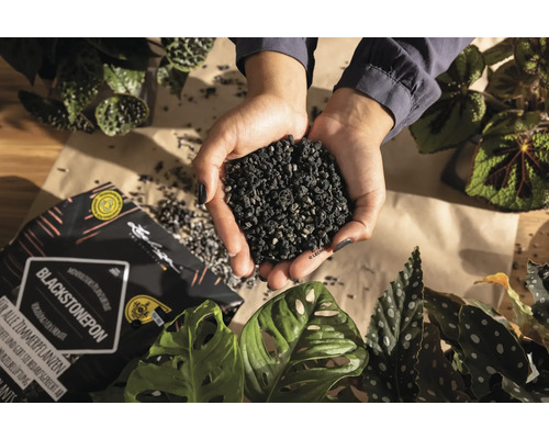 Substrat pour plantes Blackstonepon dans les mains, adapté à toutes les plantes d''intérieur