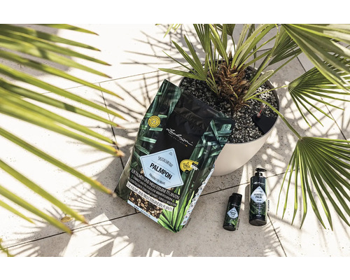 Substrat spécial, engrais et produits d''entretien pour palmiers et plantes méditerranéennes avec palmier en pot