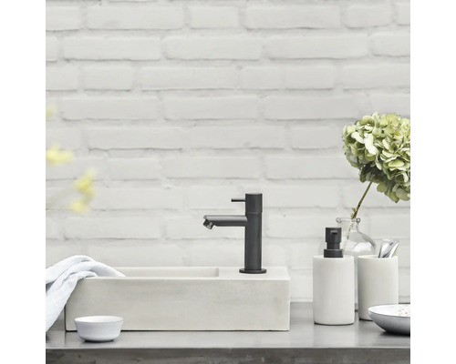 Modernes Badezimmerarrangement mit Waschbecken, Armatur und Accessoires