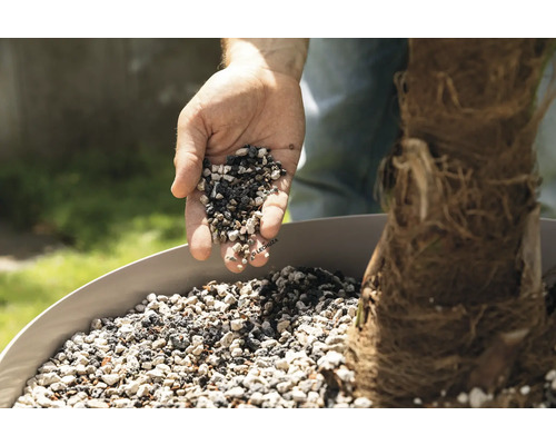 Une main verse des granulés pour plantes dans un pot pour une plante.