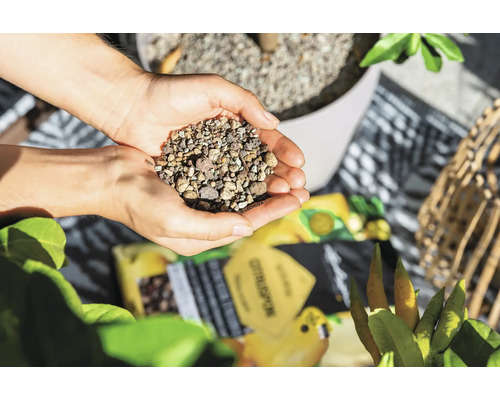 Mains tenant des billes d''argile expansée comme matériau de drainage pour les plantes