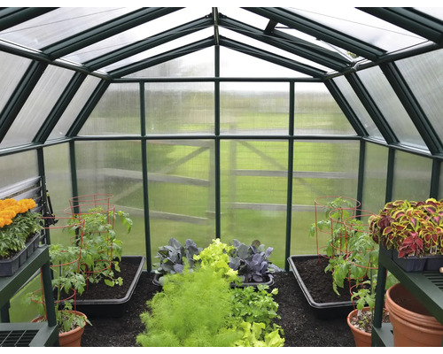 Vue intérieure d''une serre avec diverses plantes et parterres de légumes.