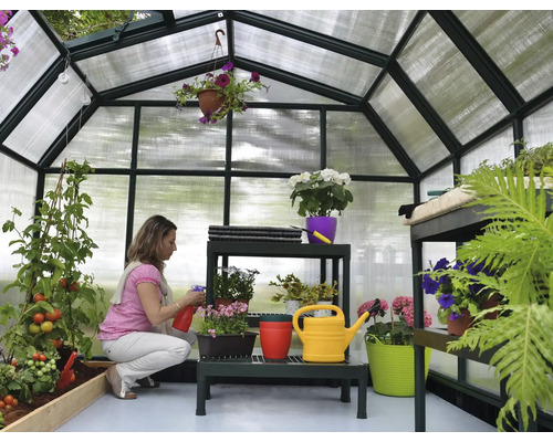 Serre avec plantes et arrosoir et une femme vaporisant les plantes
