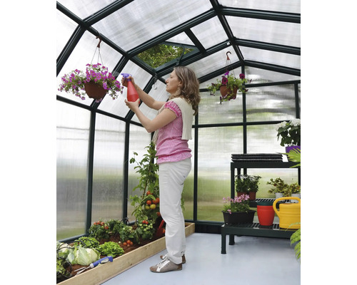 Femme arrosant des plantes dans une serre avec des étagères et des suspensions fleuries.
