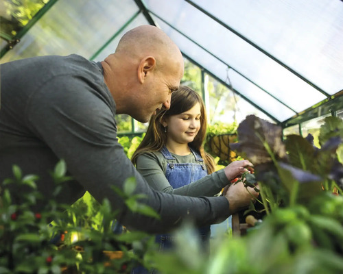 Un homme et une fille travaillent dans une serre avec différentes plantes.