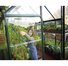 Serre avec enfant récoltant des tomates dans le jardin
