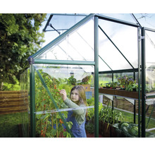 Serre avec plantes et enfant dans le jardin